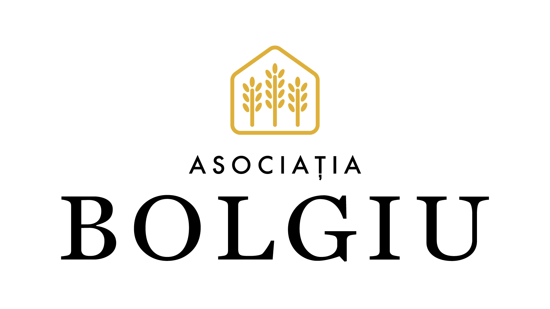 Asociația Bolgiu